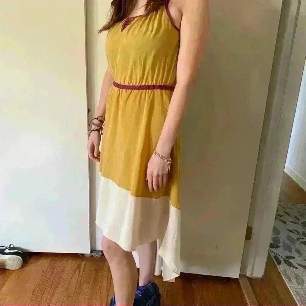 Anthropologie Willow and Clay color block high low tank dress women L